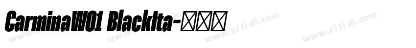 CarminaW01 BlackIta字体转换
